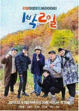 真实探险记录综艺封面